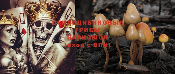 PSILOCYBIN Абдулино
