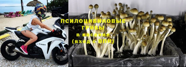 таблы Покровск
