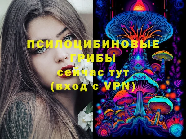 PSILOCYBIN Абдулино