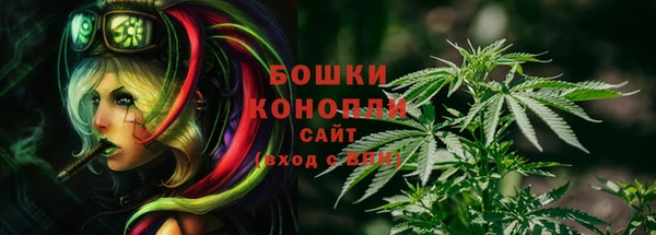 ECSTASY Абаза